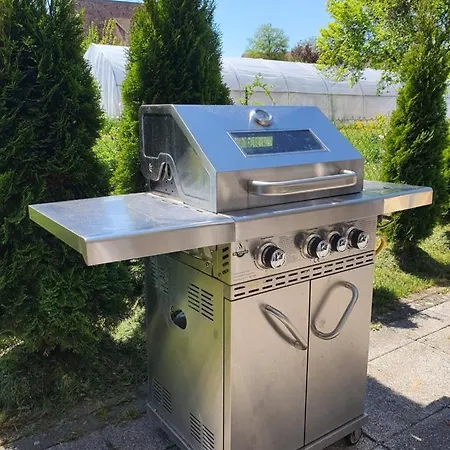 3 Naehe Schweiz Mit Terrasse Und Garten شقة Hilzingen