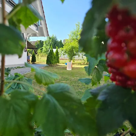 شقة 3 Naehe Schweiz Mit Terrasse Und Garten Hilzingen