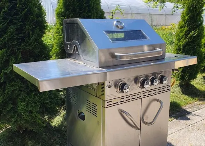 3 Nähe Schweiz Mit Terrasse Und Garten Apartment Hilzingen