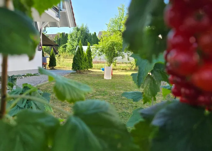 Apartment 3 Nähe Schweiz Mit Terrasse Und Garten Hilzingen